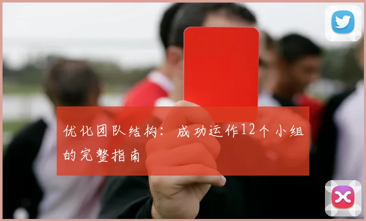 优化团队结构：成功运作12个小组的完整指南
