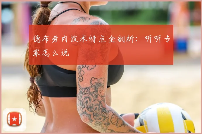 德布劳内技术特点全剖析：听听专家怎么说